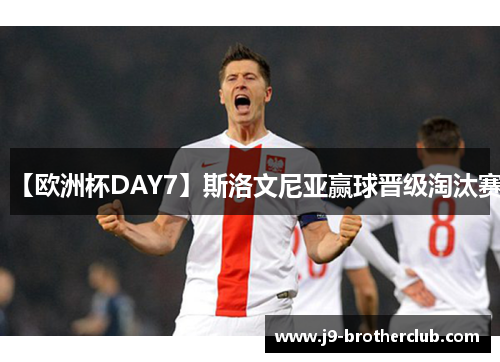 【欧洲杯DAY7】斯洛文尼亚赢球晋级淘汰赛